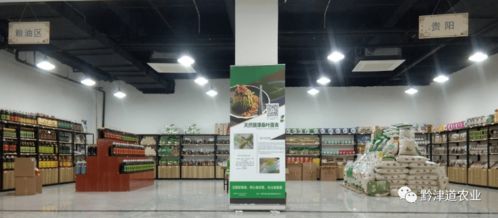 貴州戶戶達(dá) 以農(nóng)產(chǎn)品展示體驗(yàn)中心為橋，守護(hù)家鄉(xiāng)風(fēng)味，服務(wù)會(huì)務(wù)展覽
